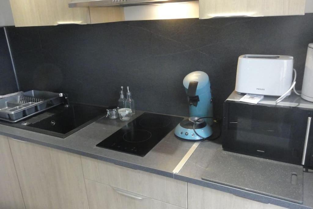 Le Belvedere Dernier Etage Avec Terrasse Wifi Fibre Lejlighed Tarbes Eksteriør billede