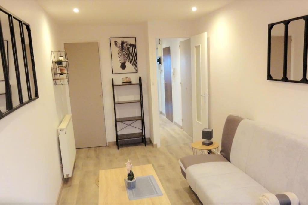 Le Belvedere Dernier Etage Avec Terrasse Wifi Fibre Lejlighed Tarbes Eksteriør billede